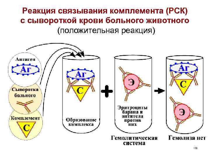 Схема постановки реакции связывания комплемента рск