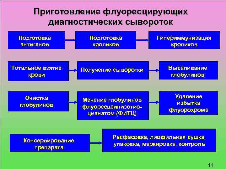 Приготовление флуоресцирующих диагностических сывороток Подготовка антигенов Подготовка кроликов Тотальное взятие крови Получение сыворотки Очистка