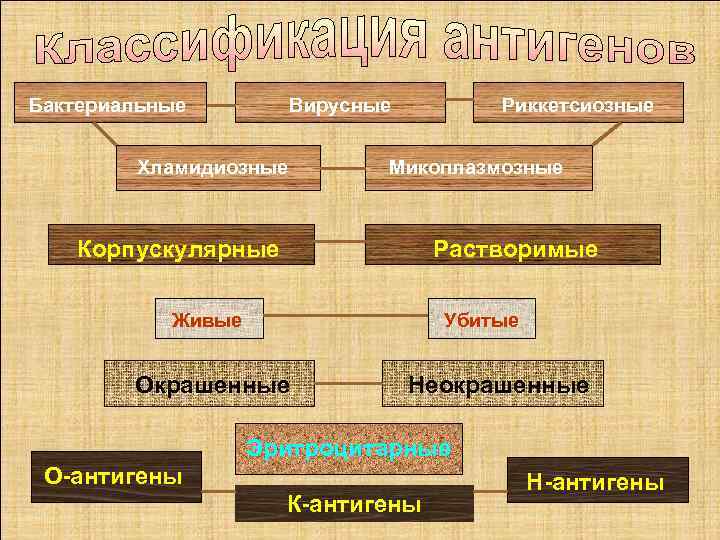 Бактериальные Вирусные Хламидиозные Риккетсиозные Микоплазмозные Корпускулярные Растворимые Живые Убитые Окрашенные Неокрашенные Эритроцитарные О антигены