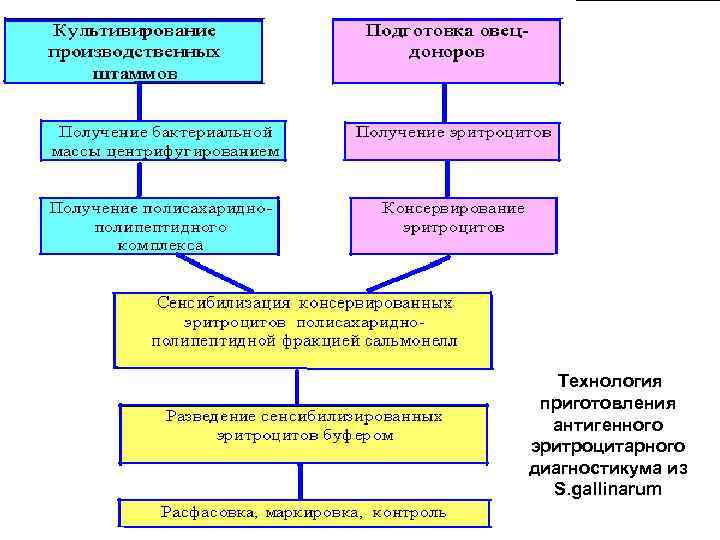 Технология приготовления антигенного эритроцитарного диагностикума из S. gallinarum 47 