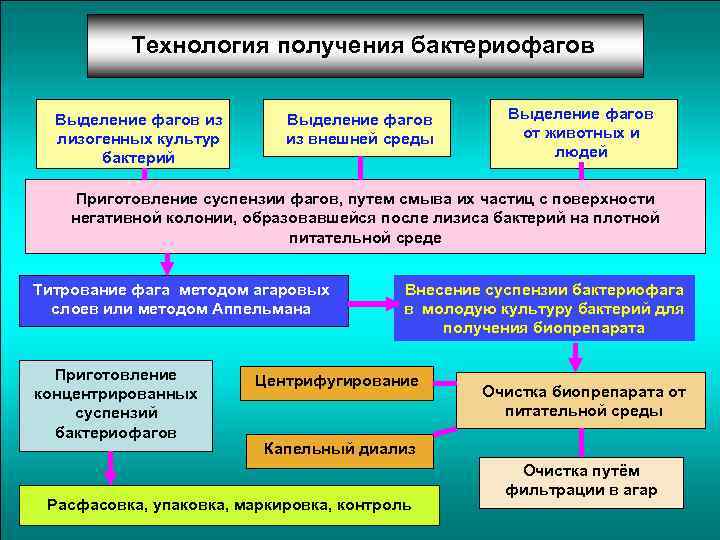 Производственные питательные среды в биотехнологической схеме получения лекарственных препаратов