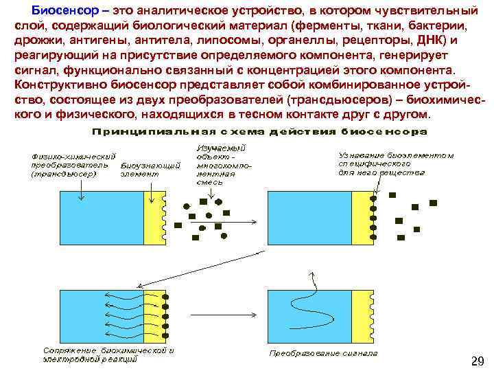 Биосенсоры для мониторинга презентация