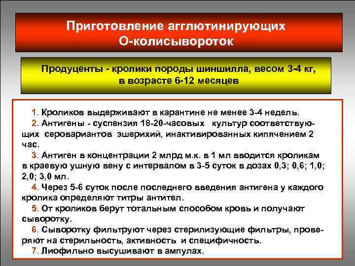 Приготовление агглютинирующих О колисывороток Продуценты кролики породы шиншилла, весом 3 4 кг, в возрасте