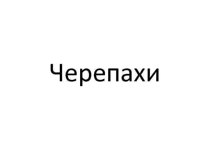 Черепахи 