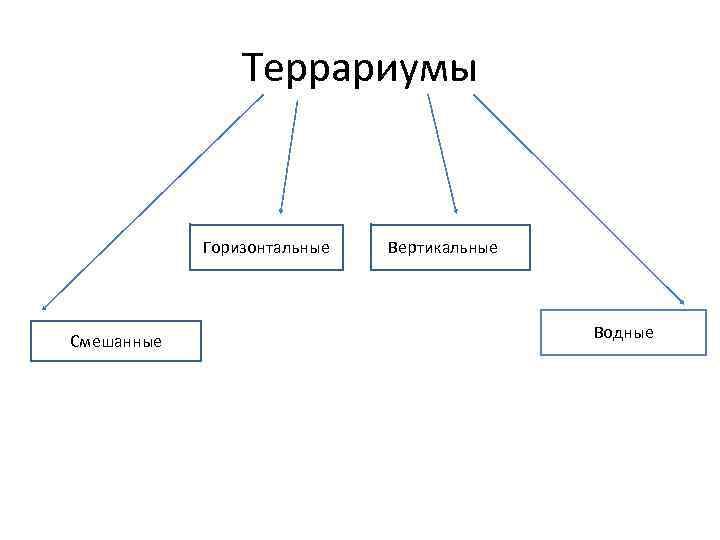 Террариумы Горизонтальные Смешанные ВВертикальные Водные 