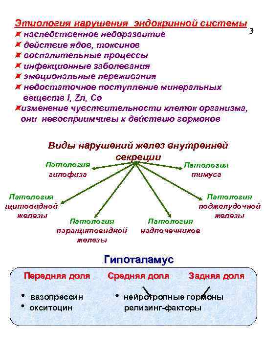 Этиология нарушения эндокринной системы 3 наследственное недоразвитие действие ядов, токсинов воспалительные процессы инфекционные заболевания