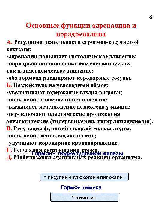6 Основные функции адреналина и норадреналина А. Регуляция деятельности сердечно-сосудистой системы: -адреналин повышает систолическое