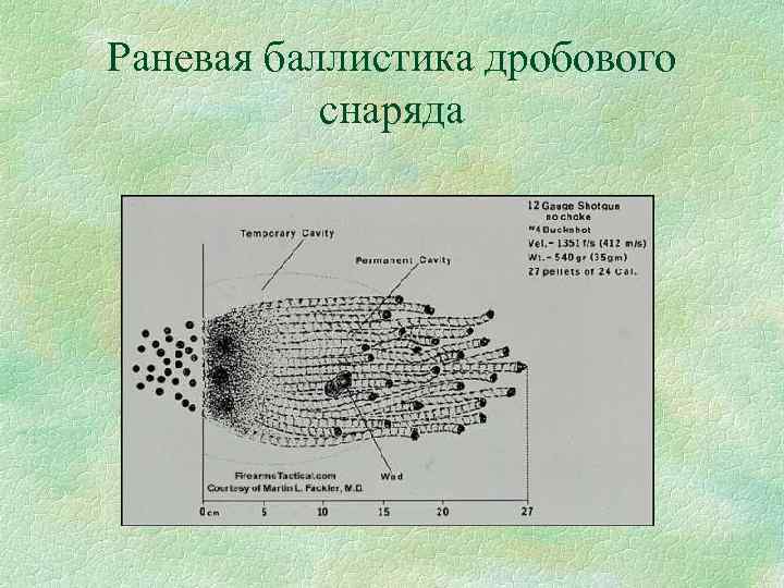 Раневая баллистика дробового снаряда 