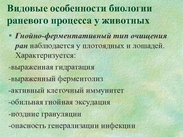 Видовые особенности биологии раневого процесса у животных § Гнойно-ферментативный тип очищения ран наблюдается у