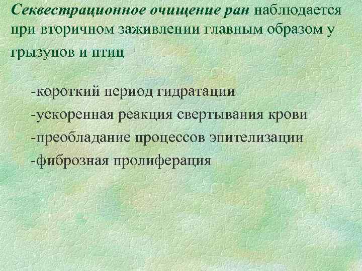 Секвестрационное очищение ран наблюдается при вторичном заживлении главным образом у грызунов и птиц короткий