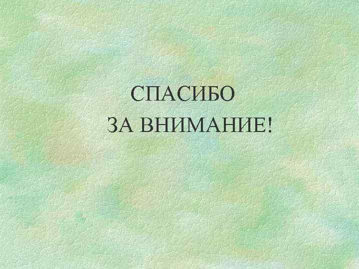 СПАСИБО ЗА ВНИМАНИЕ! 