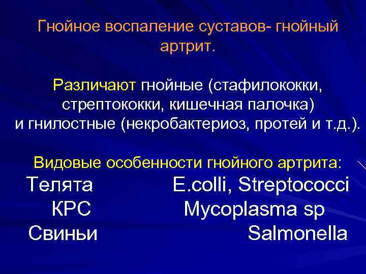 Гнойное воспаление суставов- гнойный артрит. Различают гнойные (стафилококки, стрептококки, кишечная палочка) и гнилостные (некробактериоз,