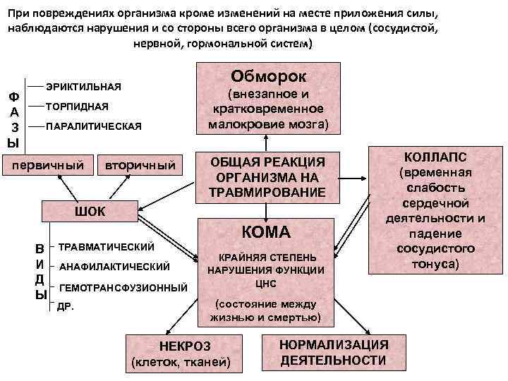 При повреждениях организма кроме изменений на месте приложения силы, наблюдаются нарушения и со стороны