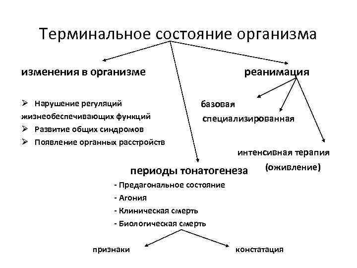 Терминальное состояние организма изменения в организме Ø Нарушение регуляций жизнеобеспечивающих функций Ø Развитие общих