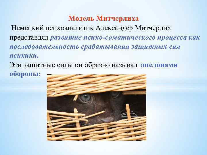 Модель Митчерлиха Немецкий психоаналитик Александер Митчерлих представлял развитие психо соматического процесса как последовательность срабатывания