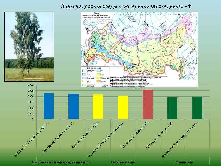 Зона смешанных и широколиственных лесов. Лесостепная зона. ая . . п. ст е со