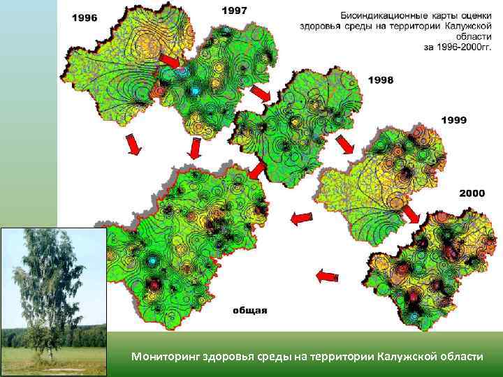 Мониторинг здоровья среды на территории Калужской области 