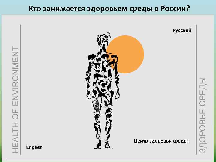 Кто занимается здоровьем среды в России? Центр здоровья среды 
