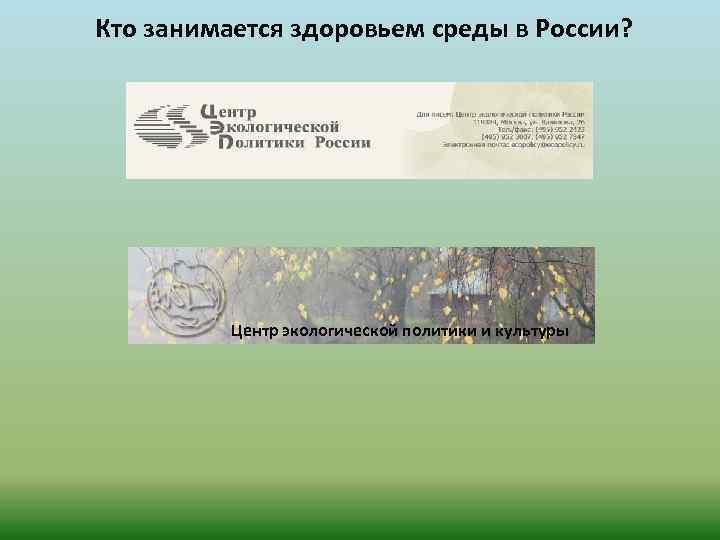 Кто занимается здоровьем среды в России? Центр экологической политики и культуры 