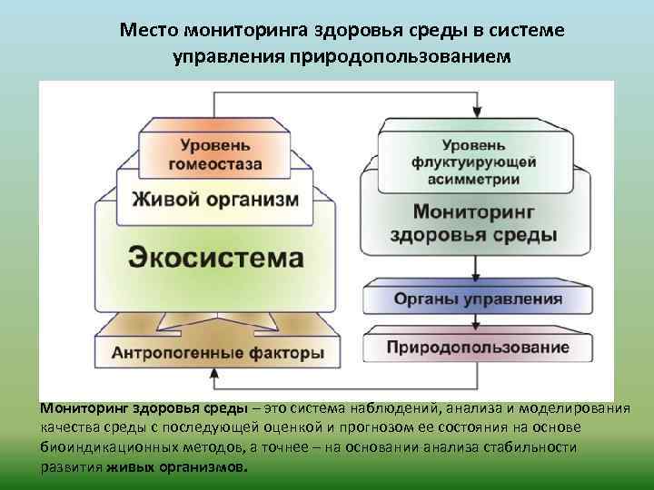 Мониторинг природных ресурсов