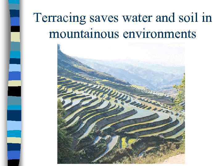 Terracing saves water and soil in mountainous environments 