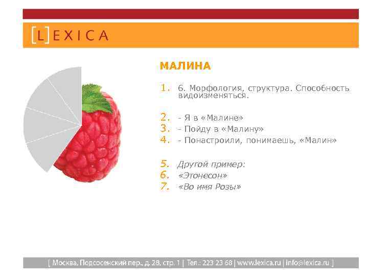 МАЛИНА 1. 6. Морфология, структура. Способность видоизменяться. 2. - Я в «Малине» 3. -