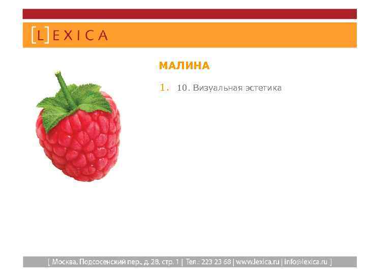 МАЛИНА 1. 10. Визуальная эстетика 