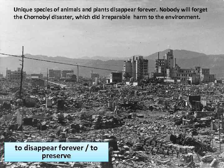 Unique species of animals and plants disappear forever. Nobody will forget the Chornobyl disaster,