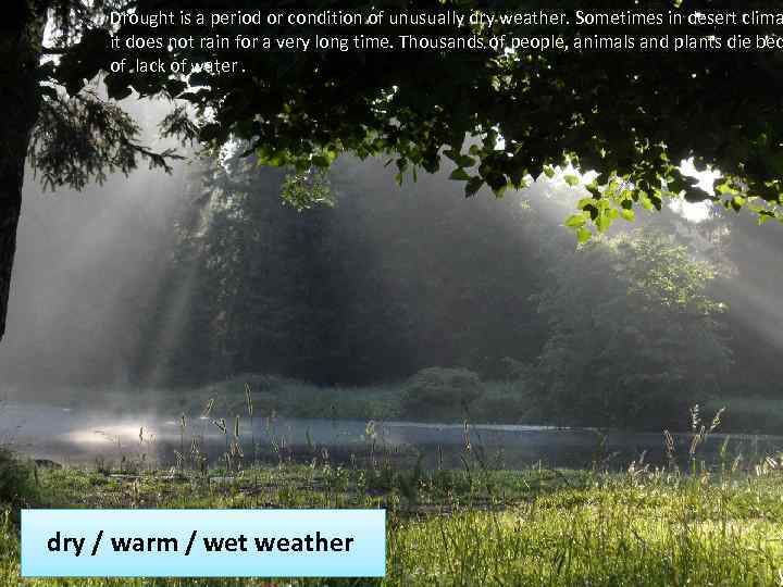 Drought is a period or condition of unusually dry weather. Sometimes in desert clima