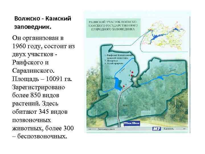 Заповедники татарстана презентация 4 класс