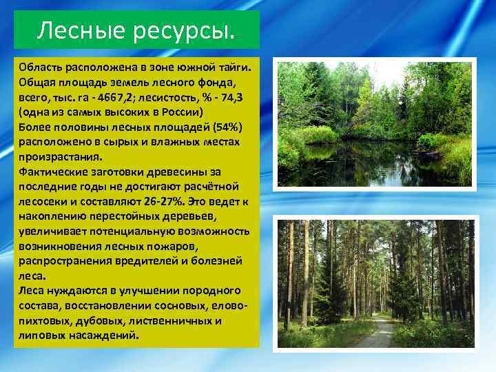 Лесные ресурсы. Область расположена в зоне южной тайги. Общая площадь земель лесного фонда, всего,