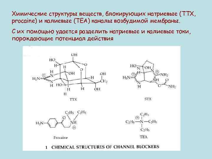 Химические структуры веществ, блокирующих натриевые (TTX, procaine) и калиевые (ТЕА) каналы возбудимой мембраны. С