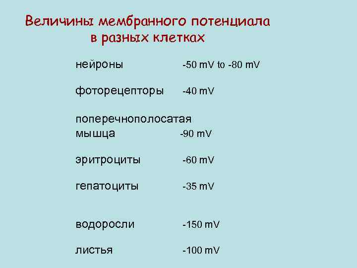 Величины мембранного потенциала в разных клетках нейроны -50 m. V to -80 m. V