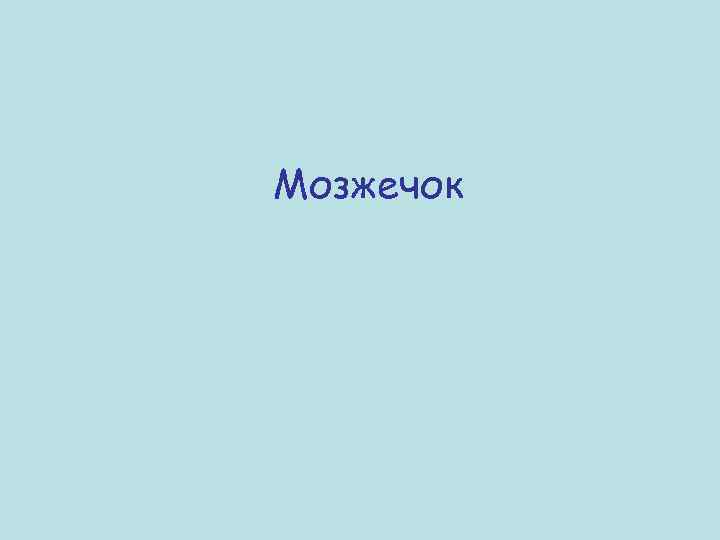 Мозжечок 
