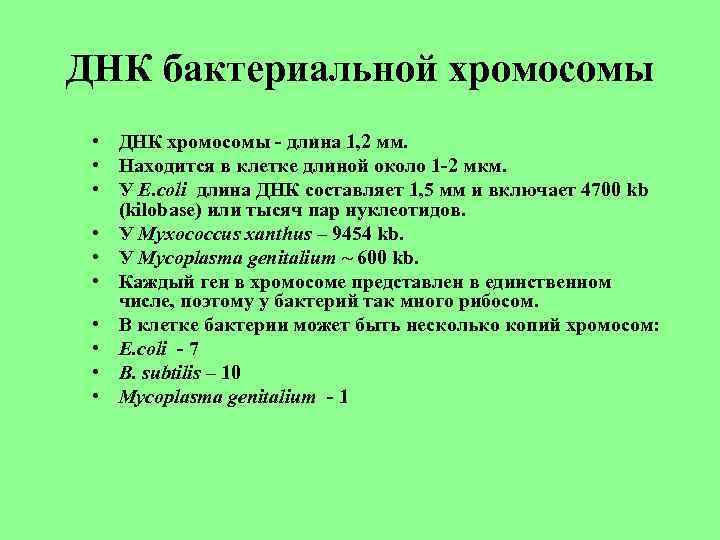 ДНК бактериальной хромосомы • ДНК хромосомы - длина 1, 2 мм. • Находится в