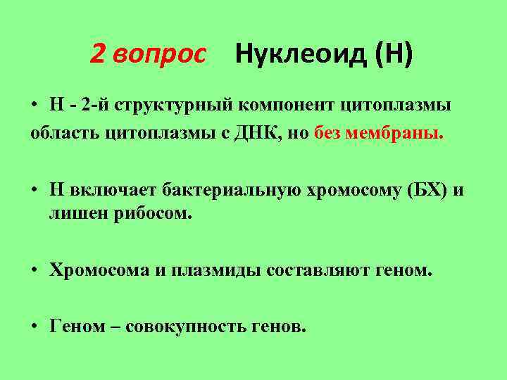 2 вопрос Нуклеоид (Н) • Н - 2 -й структурный компонент цитоплазмы область цитоплазмы