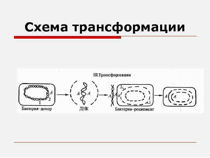 Схема трансформации 