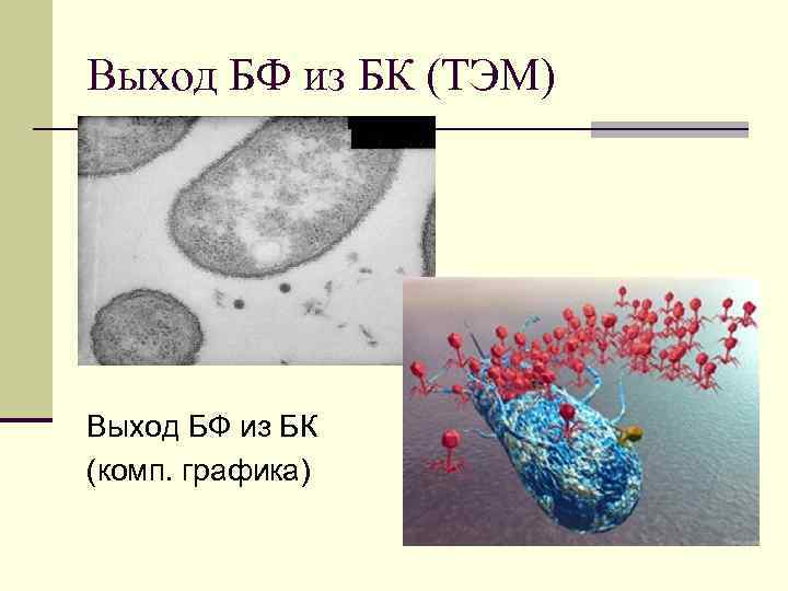 Выход БФ из БК (ТЭМ) Выход БФ из БК (комп. графика) 