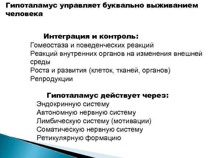 Гипоталамус управляет буквально выживанием человека Интеграция и контроль: Гомеостаза и поведенческих реакций Реакций внутренних