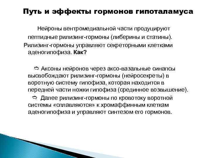 Путь и эффекты гормонов гипоталамуса Нейроны вентромедиальной части продуцируют пептидные рилизинг-гормоны (либерины и статины).