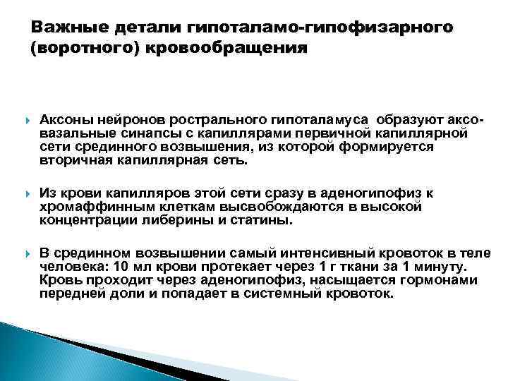 Важные детали гипоталамо-гипофизарного (воротного) кровообращения Аксоны нейронов рострального гипоталамуса образуют аксовазальные синапсы с капиллярами