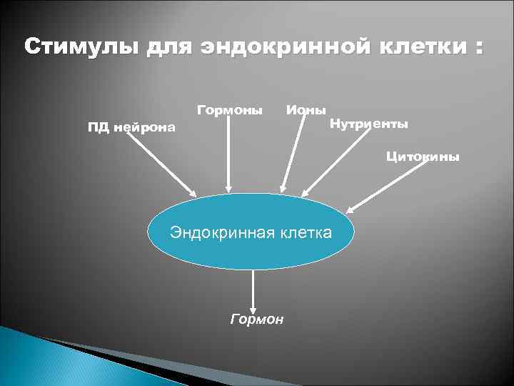 Стимулы для эндокринной клетки : ПД нейрона Гормоны Ионы Нутриенты Цитокины Эндокринная клетка Гормон