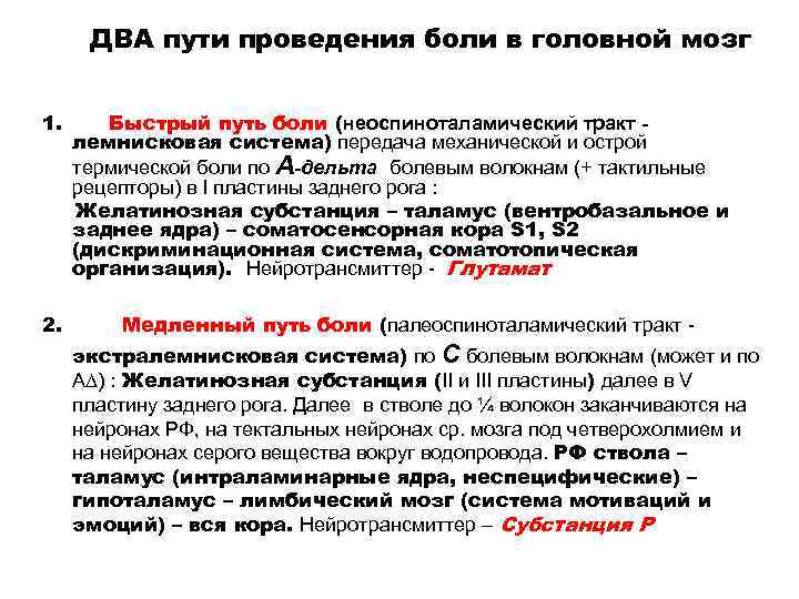 Путь осуществления. Проведение боли. Пути проведения боли. Пути боли физиология. Физиология головной боли.