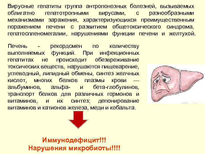 Вирусные гепатиты группа антропонозных болезней, вызываемых облигатно гепатотропными вирусами, с разнообразными механизмами заражения, характеризующихся