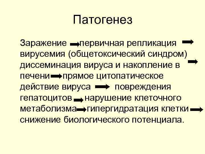Патогенез Заражение первичная репликация вирусемия (общетоксический синдром) диссеминация вируса и накопление в печени прямое