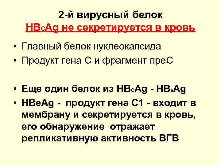 2 -й вирусный белок HBСAg не секретируется в кровь • Главный белок нуклеокапсида •