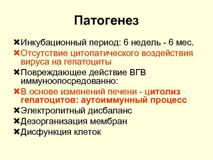 Патогенез Инкубационный период: 6 недель - 6 мес. Отсутствие цитопатического воздействия вируса на гепатоциты