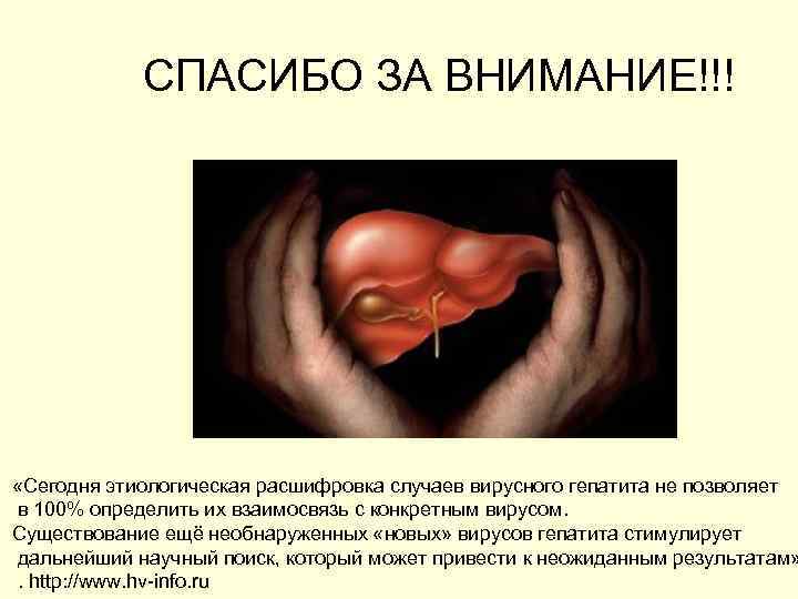 СПАСИБО ЗА ВНИМАНИЕ!!! «Сегодня этиологическая расшифровка случаев вирусного гепатита не позволяет в 100% определить