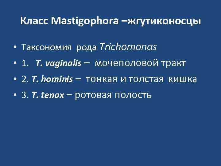 Класс Mastigophora –жгутиконосцы • Таксономия рода Trichomonas • 1. Т. vaginalis – мочеполовой тракт