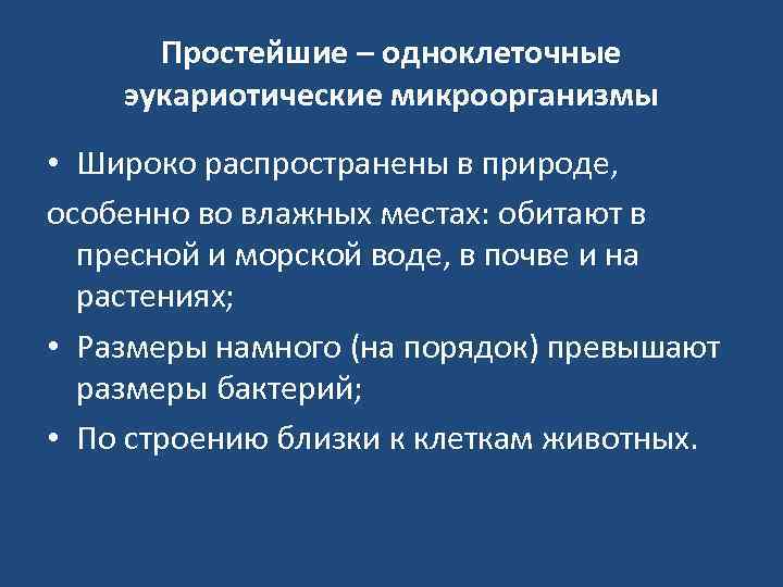 Простейшие – одноклеточные эукариотические микроорганизмы • Широко распространены в природе, особенно во влажных местах: